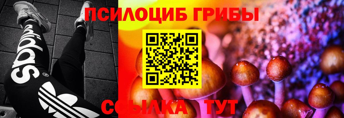 Галлюциногенные грибы ЛСД  Галлюциногенные грибы Psilocybe  Ржев  Вход с VPN 
